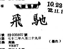 飛馳 VEST 