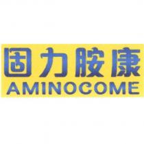 固力胺康 AMINOCOME