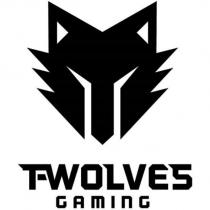 T-WOLVES GAMING with Wolf Head Design