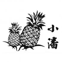 小潘及圖