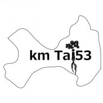 km Tai53 及圖