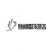 縱騰網絡及圖