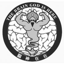 腦神在在 THE BRAIN GOD IS HERE 及圖