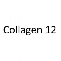 Collagen 12