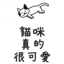 貓咪真的很可愛及圖