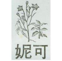 妮可及圖