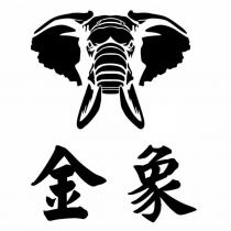 金象及圖