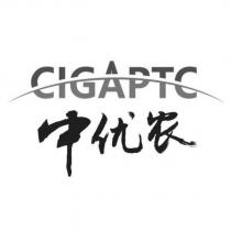 中優農CIGAPTC 設計