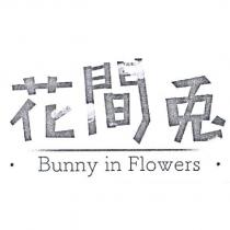 花間兎 Bunny in Flowers