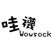 哇襪 Wowsock