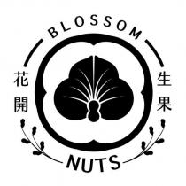 花開生果 BLOSSOM NUTS 及圖