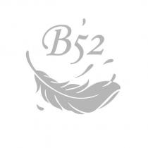 B52 及羽毛設計圖