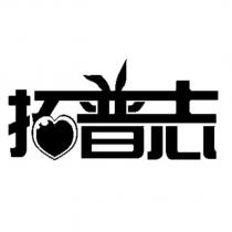 拓普志