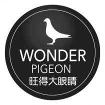 WONDER PIGEON 旺得大眼睛及鴿圖