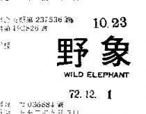 野象 WILD ELEPHANT 