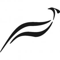 鳥設計圖