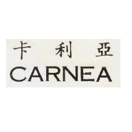 卡利亞 CARNEA 