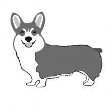 柯基犬圖