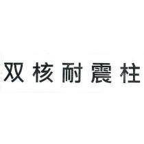 雙核耐震柱