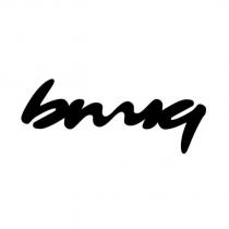 bnuq 設計字