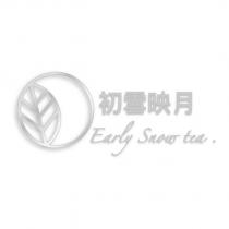 初雪映月 Early Snow tea.及圖