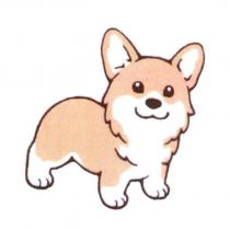 柯基犬設計圖一