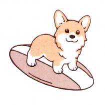 柯基犬設計圖二