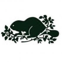BEAVER DESIGN