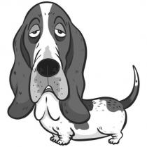 巴吉度犬設計圖