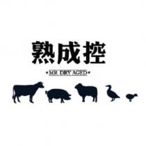 熟成控 MR DRY AGED 及圖