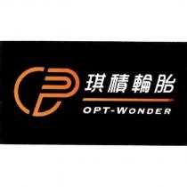 琪積輪胎 OPT-WONDER 及圖