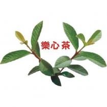 樂心茶及圖