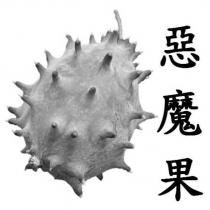 惡魔果及圖