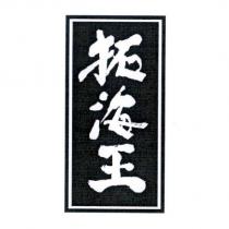 拓海王