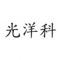 光洋科