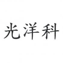 光洋科
