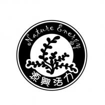 源興活力 Nature Energy 及圖