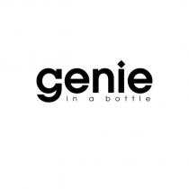 genie in a bottle 設計圖
