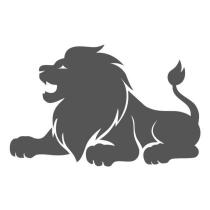 美洲獅設計圖