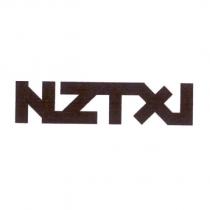 NZTXI 設計字