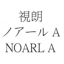 視朗 ノアール A NOARL A