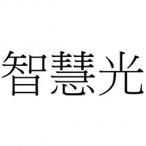 智慧光