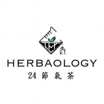 HERBAOLOGY 24 節氣茶及圖
