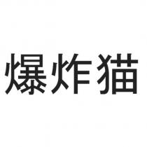 爆炸猫