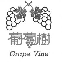葡萄樹 Grape Vine 及設計圖