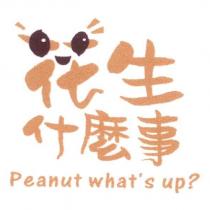 花生什麼事 Peanut What's up ?及圖