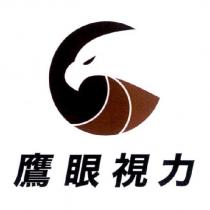 鷹眼視力及圖