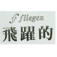 飛躍的 FLIEGEN 及圖 
