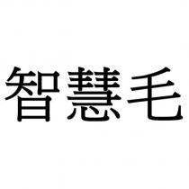 智慧毛