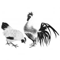 雙雞圖